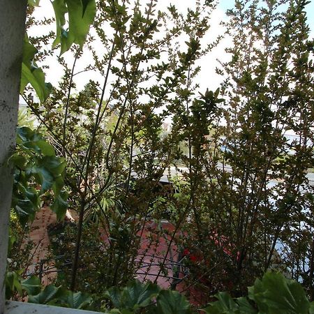 Paraiso Rooms Coliving Madrid Exterior foto